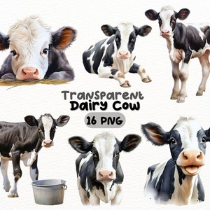 Paquete PNG de vaca lechera de acuarela, diseños de artesanías digitales transparentes, imágenes prediseñadas de terneros, imágenes prediseñadas de animales de granja, uso comercial