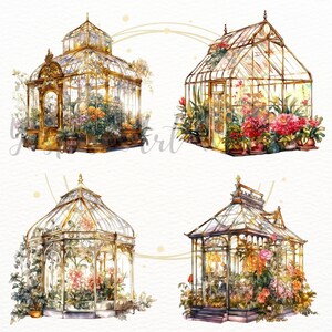 Puede incluir: Cuatro ilustraciones de acuarela de invernaderos de vidrio adornados en tonos dorados con varias flores y plantas en su interior. Los invernaderos est&aacute;n sobre un fondo blanco.