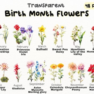 Pacote PNG de flores do mês de nascimento em aquarela, designs de artesanato digital transparentes, clipart floral, uso comercial