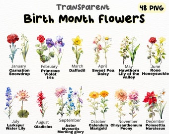 May include: A chart of birth month flowers with watercolor illustrations of each flower. The flowers are arranged in a grid with the month and flower name listed below each image. The flowers include carnation, snowdrop, primrose, violet, iris, daffodil, sweet pea, daisy, hawthorn, lily of the valley, rose, honeysuckle, larkspur, water lily, gladiolus, aster, myosotis, morning glory, calendula, marigold, chrysanthemum, peony, poinsettia, and narcissus.