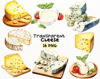 May include: A collection of 16 watercolor illustrations of different types of cheese, including cheddar, brie, mozzarella, and blue cheese. The illustrations are realistic and detailed, and they would be perfect for use in a variety of projects, such as food blogs, cookbooks, and social media.