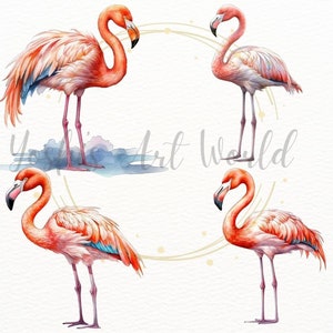 Watercolor Flamingo PNG Bundle, Digital Crafts Designs Transparent ...