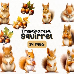 Paquete PNG de ardilla bebé marrón linda de acuarela, diseños de manualidades digitales transparentes, clipart de bellota, uso comercial.