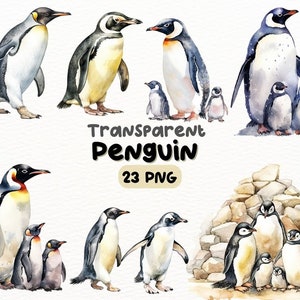 Aquarell niedlicher Pinguin PNG Bundle, digitales Handwerk Designs transparent, entzückende Pinguin Clipart, Winter Clipart, kommerzielle Nutzung