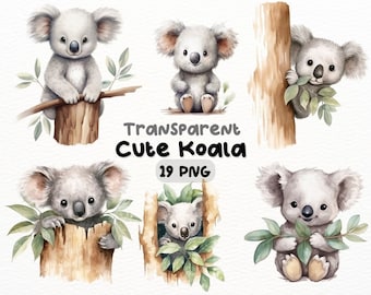 Cute Koala Watercolor PNG Bundle, Digital Crafts Designs Transparent, Baby Koala Clipart, Koala Eucalyptus Clipart, Commercial Use