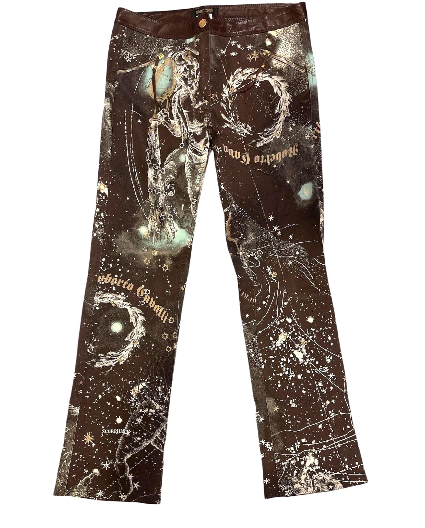 00s Roberto Cavalli スネーク スキニーデニム 平成 お兄系