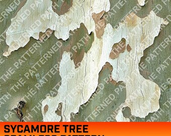 Padrão de camuflagem digital sem emendas de casca de plátano, árvore real realista, design de camuflagem para caça na floresta, uso comercial, download instantâneo