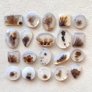 May include: Assortment of 20 agate cabochons with dendritic patterns in shades of brown, black, and white. The cabochons are various shapes and sizes, including oval, round, square, and teardrop.