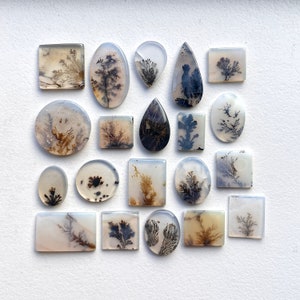 May include: A collection of 20 agate cabochons with dendritic patterns in shades of brown, black, and white. The cabochons are various shapes and sizes, including oval, round, and square.