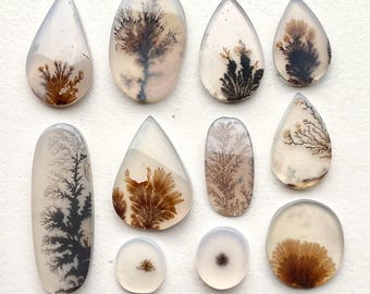 1pc 8-26mm Scenic Dendritic Agate Cabochon - Oval round Dendrite Landscape Tree Gemstones Australia  - Ring Pendant bezel setting supplies F