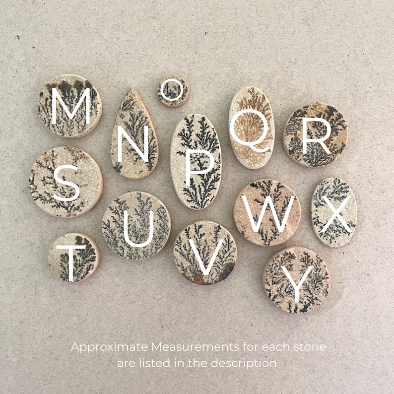 Puede incluir: Un conjunto de 16 fichas de letras de piedra natural, cada una con una letra diferente del alfabeto. Las piedras son de color marr&oacute;n claro con un patr&oacute;n &uacute;nico de dendritas marr&oacute;n oscuro. Las letras est&aacute;n pintadas de blanco.