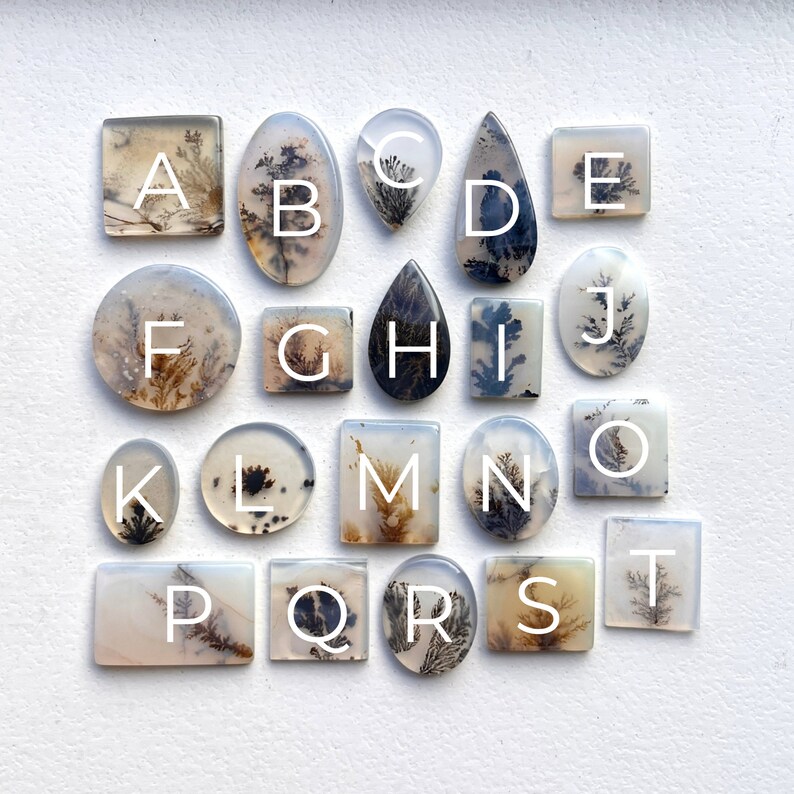 May include: A set of 20 agate cabochons, each with a unique dendritic pattern in shades of brown, black, and white. The cabochons are arranged in alphabetical order from A to T.