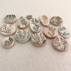 Puede incluir: Una colecci&oacute;n de 13 piedras redondas y ovaladas de color beige con patrones dendr&iacute;ticos negros. Las piedras est&aacute;n dispuestas sobre una superficie marr&oacute;n claro.