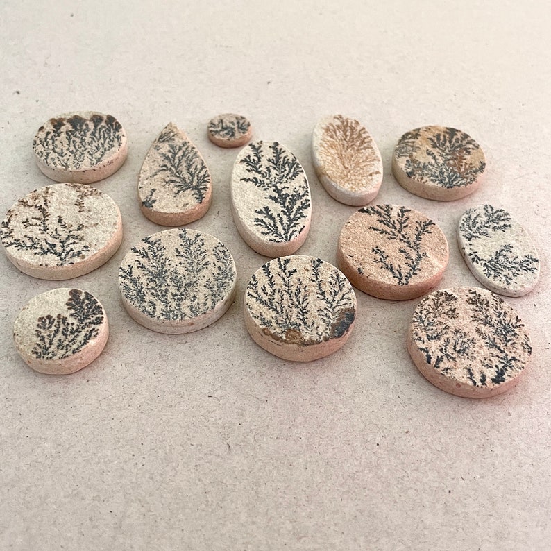 Puede incluir: Una colecci&oacute;n de 13 piedras redondas y ovaladas de color beige con patrones dendr&iacute;ticos negros. Las piedras est&aacute;n dispuestas sobre una superficie marr&oacute;n claro.