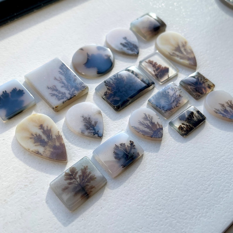 May include: A collection of 17 agate cabochons with dendritic patterns in shades of white, gray, and black. The cabochons are arranged on a white surface.