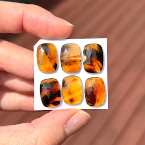 May include: Six faceted, rectangular gemstones in shades of amber, brown, and yellow are displayed on a white card. The gems have a polished, translucent appearance, with internal patterns. The gems are held by a person's hand.
