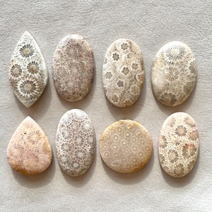 1pc Fossil Coral Cabochon - Agatized Fossilized flatback flower pattern natural gemstone - Macrame wire wrapping pendant Supplies E19