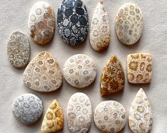 1pc 26-42mm Fossil Coral Cabochon - Agatized Fossilized flatback flower pattern natural gemstone - Macrame wire wrapping pendant Supplies E5