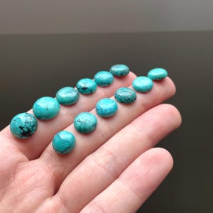 May include: A collection of 14 turquoise cabochons, ranging in size, with a mottled blue-green color and dark veins.