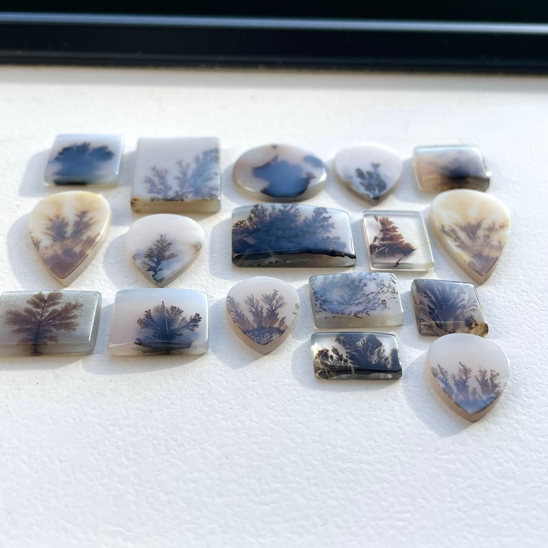 May include: A collection of 17 dendritic agate cabochons in various shapes and sizes. The cabochons are a mix of white, gray, and brown with black dendritic patterns.