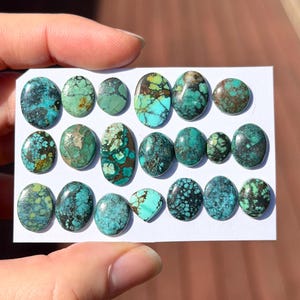 May include: A collection of twenty loose turquoise cabochons arranged in three rows on a white card. The stones feature various shades of blue and green with dark brown or black matrix patterns, displaying oval, round, and irregular shapes.
