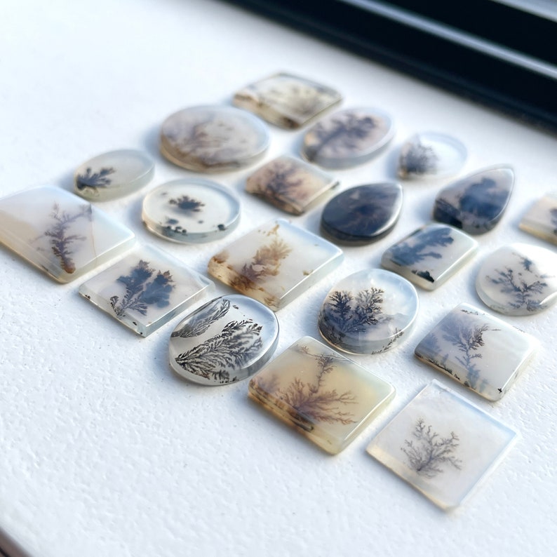 May include: A collection of 18 agate cabochons with dendritic patterns in shades of white, gray, and black. The cabochons are various shapes and sizes, including oval, round, and square.