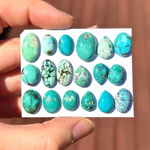 May include: A collection of seventeen polished turquoise cabochons arranged in three rows on a white card. The stones vary in shape, including ovals and teardrops, and display diverse shades of blue and green with unique dark matrix patterns.