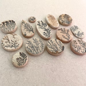 Puede incluir: Una colecci&oacute;n de 13 piedras pulidas redondas y ovaladas, de color beige y marr&oacute;n, con un patr&oacute;n dendr&iacute;tico.