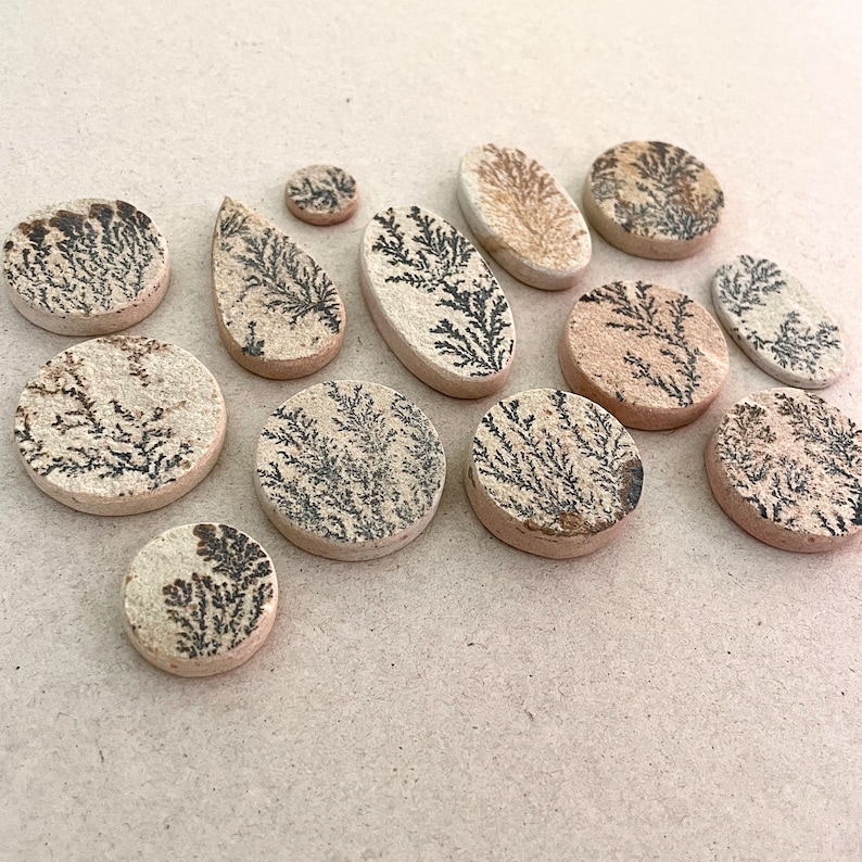 Puede incluir: Una colecci&oacute;n de 13 piedras pulidas redondas y ovaladas, de color beige y marr&oacute;n, con un patr&oacute;n dendr&iacute;tico.