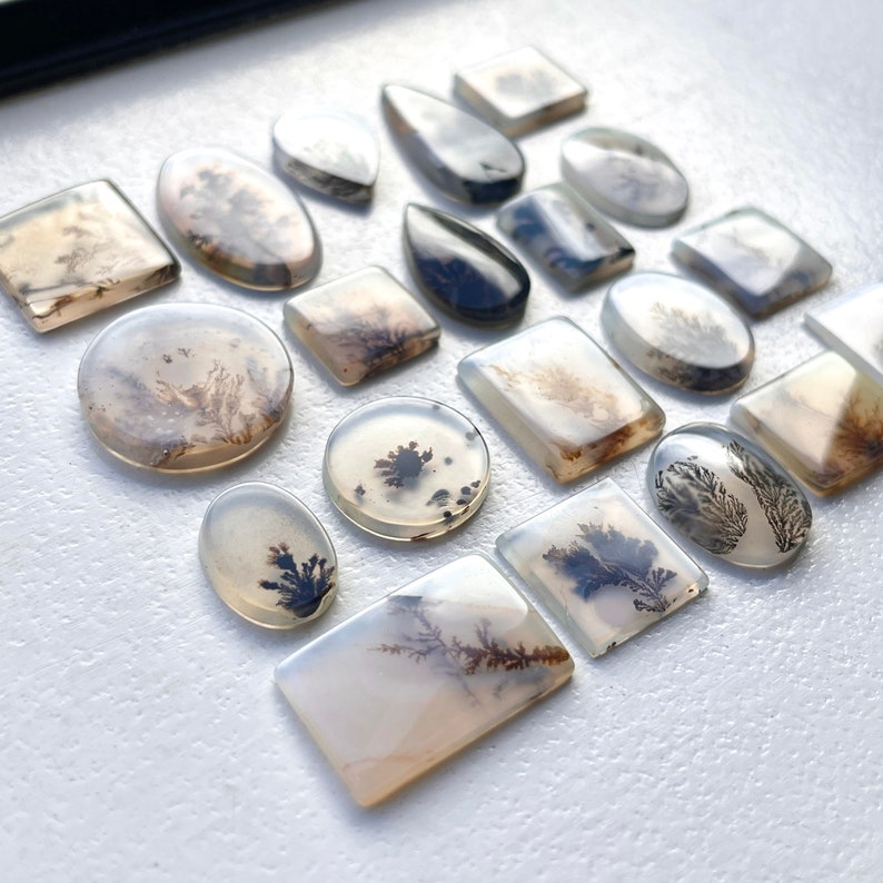 May include: A collection of 17 agate cabochons with dendritic patterns in shades of white, gray, and black. The cabochons are various shapes and sizes, including oval, round, square, and teardrop.