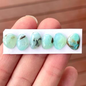 Op de afbeelding: Zes gepolijste edelstenen in groen- en blauwtinten worden op een witte kaart getoond. De stenen variëren in vorm en hebben unieke patronen van bruine en zwarte insluitsels. De edelstenen worden door de vingers van een persoon vastgehouden.