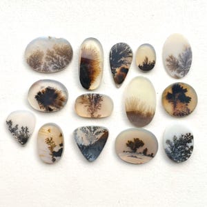 以下が含まれることがあります： 樹枝状模様の入ったアゲートのカボションが15個集まったものです。カボションは様々な形とサイズで、白、茶色、黒の色合いです。樹枝状模様は木や枝に似ています。