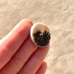 Pu&ograve; includere: Un cabochon rotondo bianco con un motivo di agata dendritica in tonalit&agrave; di marrone e oro. L'agata ha un aspetto naturale e organico.