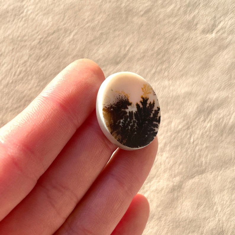 Pu&ograve; includere: Un cabochon rotondo bianco con un motivo di agata dendritica in tonalit&agrave; di marrone e oro. L'agata ha un aspetto naturale e organico.