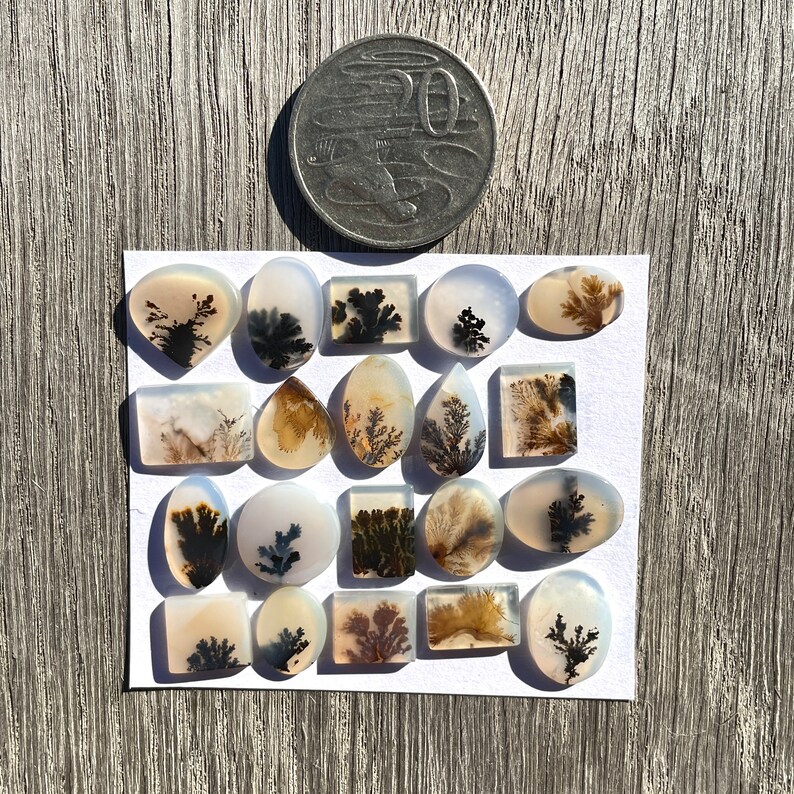 May include: A collection of 18 agate cabochons with dendritic patterns in shades of brown, black, and white. The cabochons are arranged in rows on a white background.