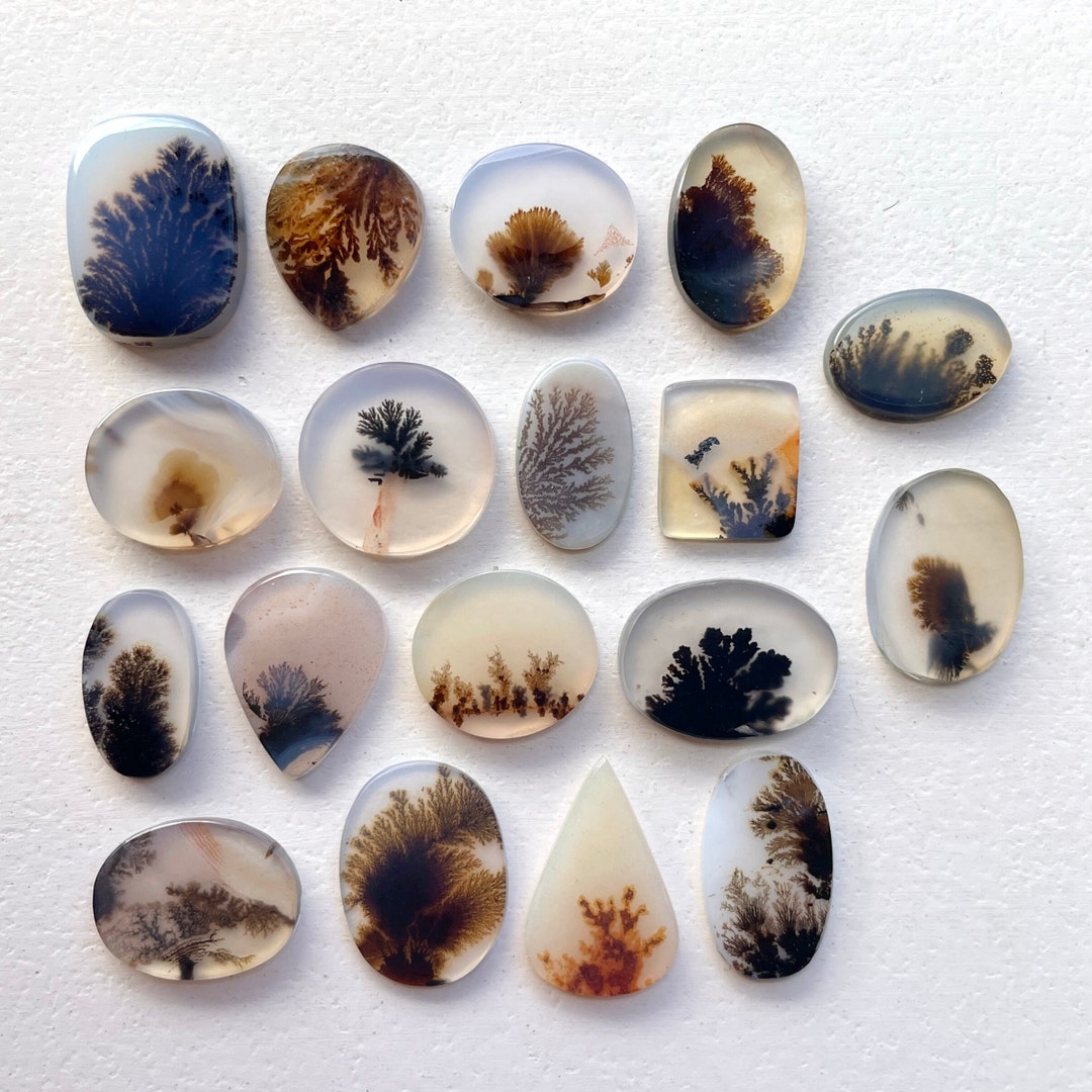 1018mm Scenic Dendritic Agate Cabochon Free Form Dendrite Agate Cabochon Scenic Cabochon Loose