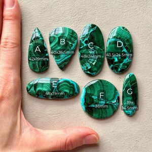 Pu&ograve; includere: Sette cabochon in malachite lucida etichettati da A a G con dimensioni visibili in millimetri. Le pietre presentano motivi a bande verde scuro e forme varie, tra cui a goccia, ovale e circolare, disposte per la presentazione.