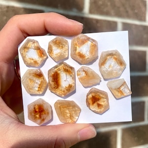 May include: A collection of ten small, faceted, translucent, golden-brown crystals with a white interior. The crystals are arranged on a white surface.