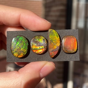 May include: Four iridescent opal cabochons in various shapes and sizes. The stones are a mix of green, gold, red, and orange.