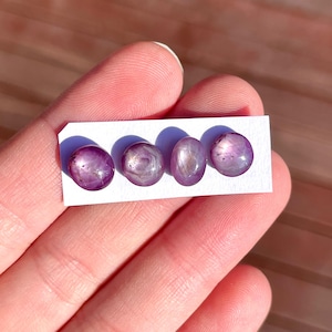 May include: Four polished, oval-shaped, purplish-pink gemstones are displayed on a white card. The gems have a star-like effect, with light reflecting across their surfaces. The gems are held in a hand, with a wooden surface in the background.