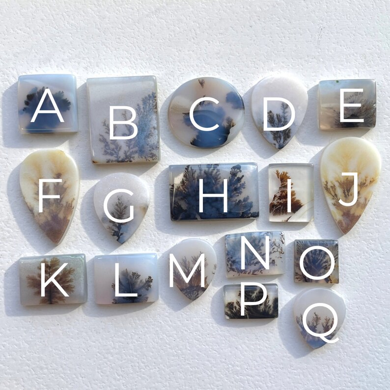 May include: A collection of 17 agate slices, each with unique dendritic patterns in shades of white, gray, and brown. The slices are labeled with letters A through Q.
