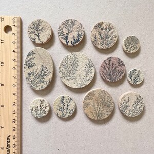 Op de afbeelding: Een verzameling van 11 ronde, decoratieve agaatplakken met verschillende patronen en kleuren. De plakken zijn voornamelijk beige en wit met zwarte dendritische patronen. Sommige plakken hebben een roze tint.