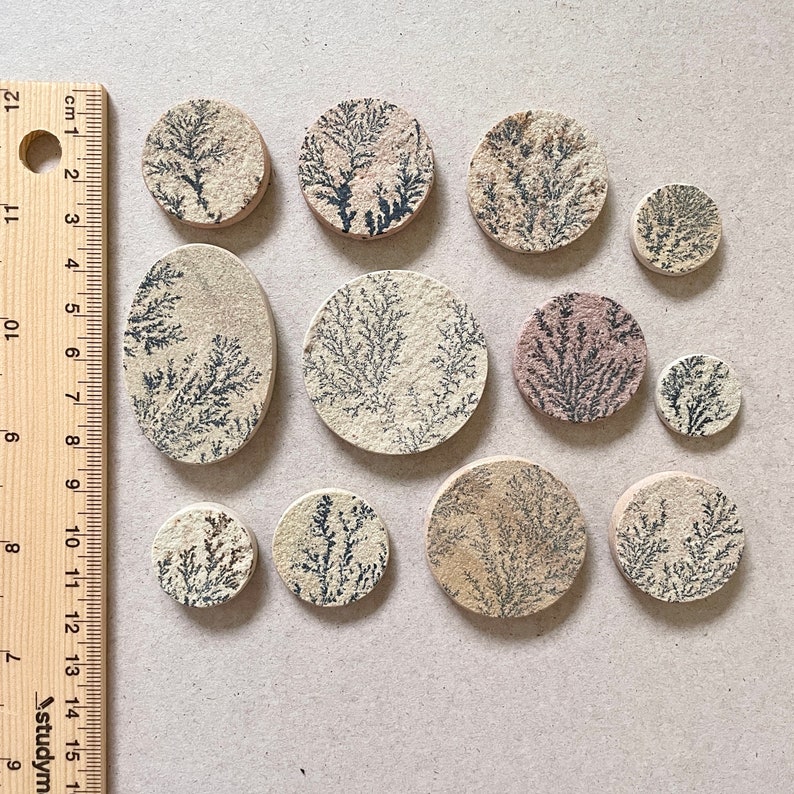 Op de afbeelding: Een verzameling van 11 ronde, decoratieve agaatplakken met verschillende patronen en kleuren. De plakken zijn voornamelijk beige en wit met zwarte dendritische patronen. Sommige plakken hebben een roze tint.