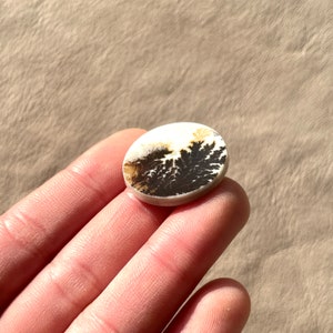 Pu&ograve; includere: Un cabochon di agata bianco e nero con un motivo dendritico. Il cabochon &egrave; di forma ovale e ha una superficie liscia e lucida.
