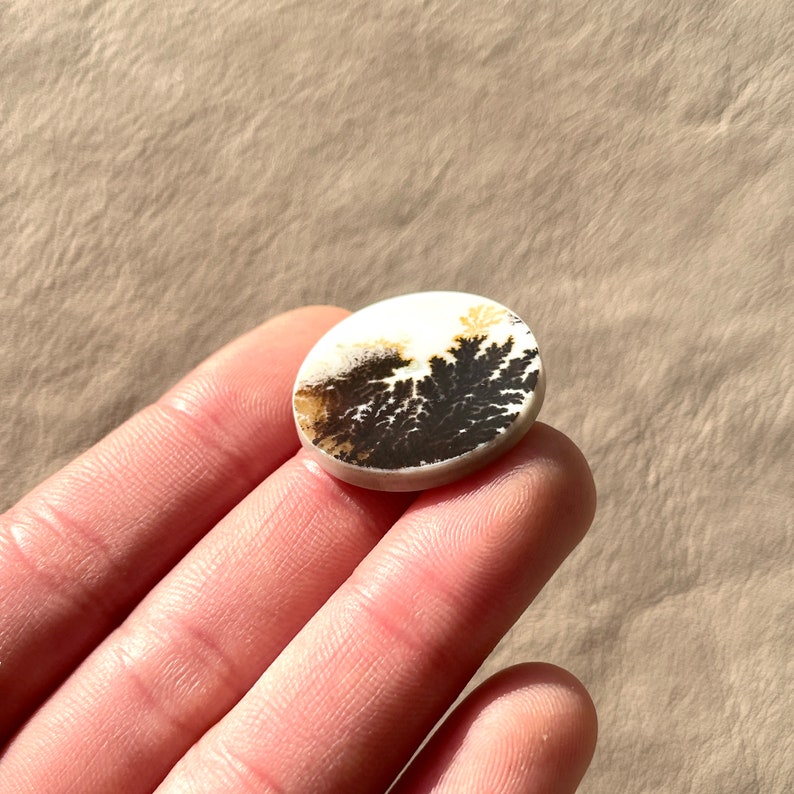Pu&ograve; includere: Un cabochon di agata bianco e nero con un motivo dendritico. Il cabochon &egrave; di forma ovale e ha una superficie liscia e lucida.