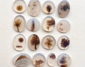 1pc 10-18mm Scenic Agate Cabochon - Round Oval Freeform Dendrite Agate Cabochon - Dendritic Agate - Natural Gemstones Australia (J)
