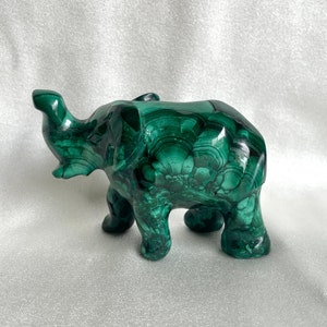 Stunning Chatoyant Flower Malachite Elephant Carving Figurine - Natural Gemstones Home Decor Photography Prop Crystals Rocks