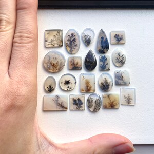 May include: Assortment of 18 agate cabochons with dendritic patterns in shades of white, gray, and black. The cabochons are arranged in a grid pattern on a white surface.
