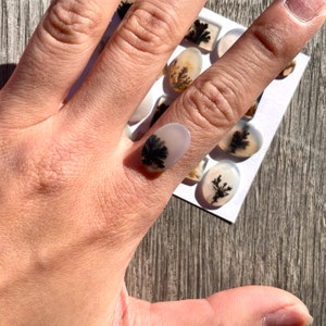 May include: A collection of oval-shaped agate cabochons with dendritic patterns in shades of black and white. The cabochons are arranged on a white card and are displayed on a wooden surface.