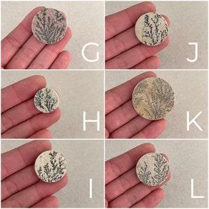 Op de afbeelding: Zes ronde, platte, decoratieve stenen met een dendritisch patroon in zwart en wit. De stenen hebben een lichtbruine, beige of roze achtergrond.